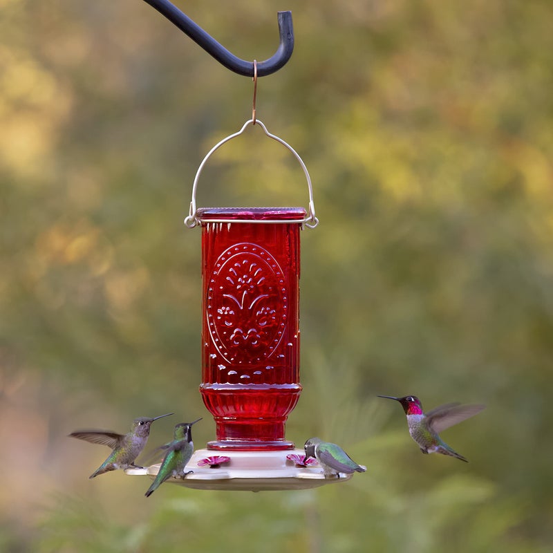 مور بيردز المزيد من الطيور الحمراء خمر الطنان المغذية العتيقة الزجاج الطنان مغذيات للخارجية 5 محطات التغذية 20 أوقية - Image 2
